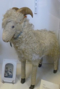 Alvarado Sheep