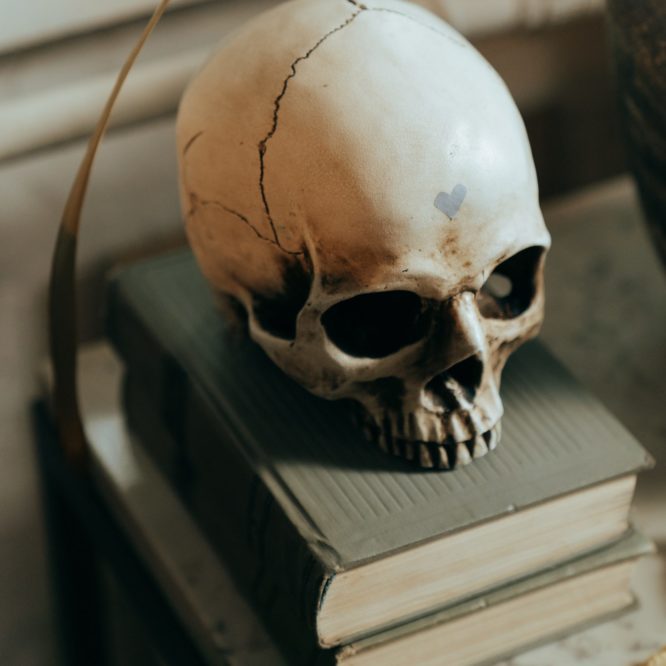 Skull with a heart on the forehead on a stack of books.