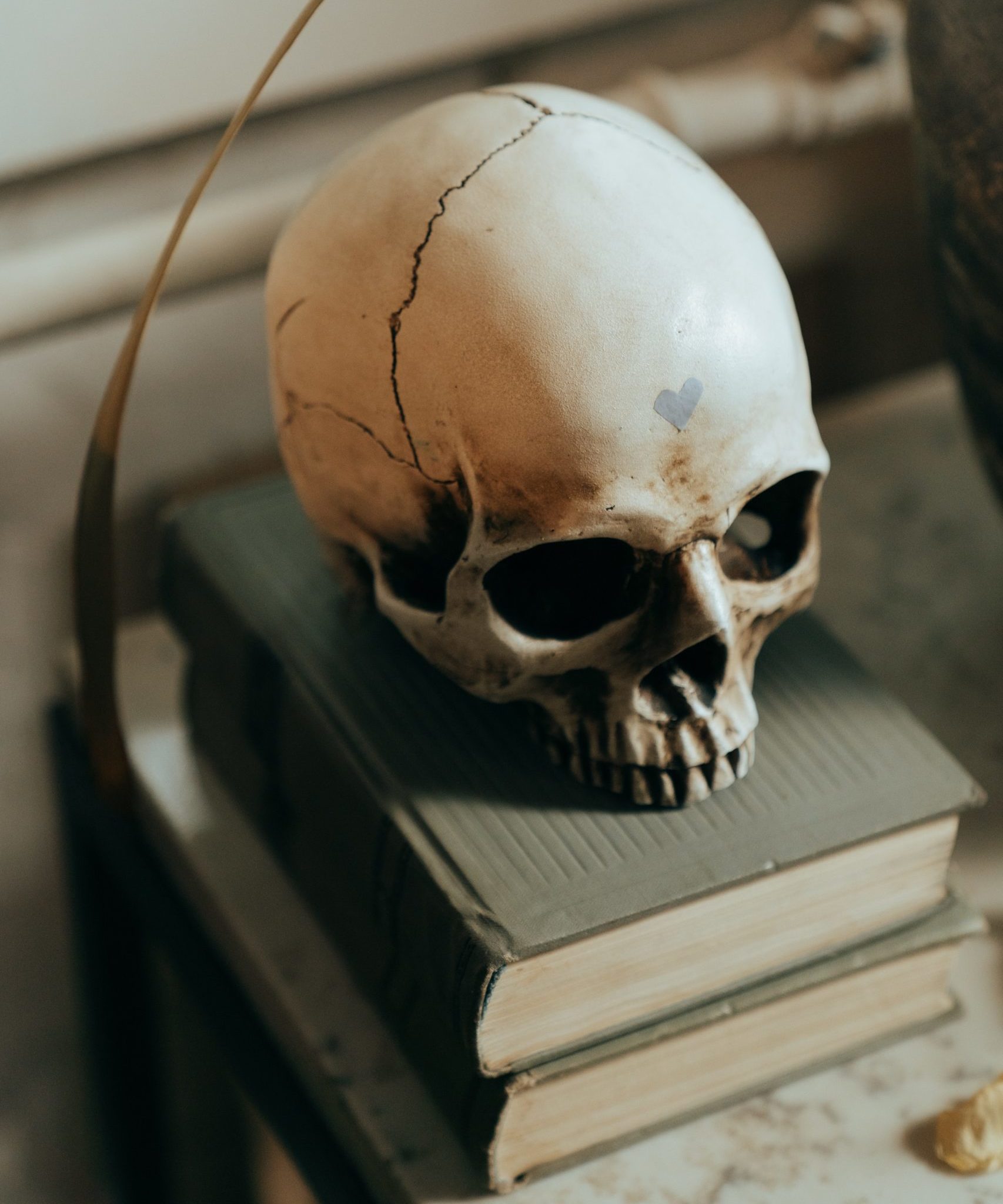 Skull with a heart on the forehead on a stack of books.