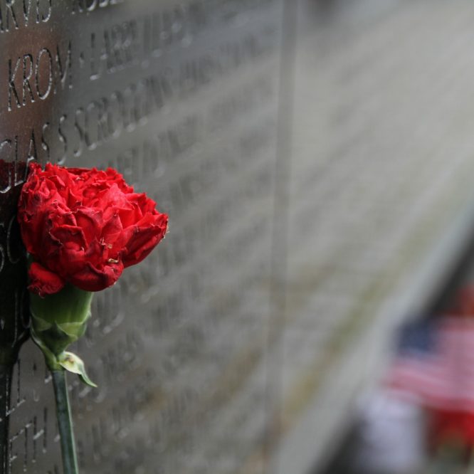 Red carnation next to Vietnam Memorial