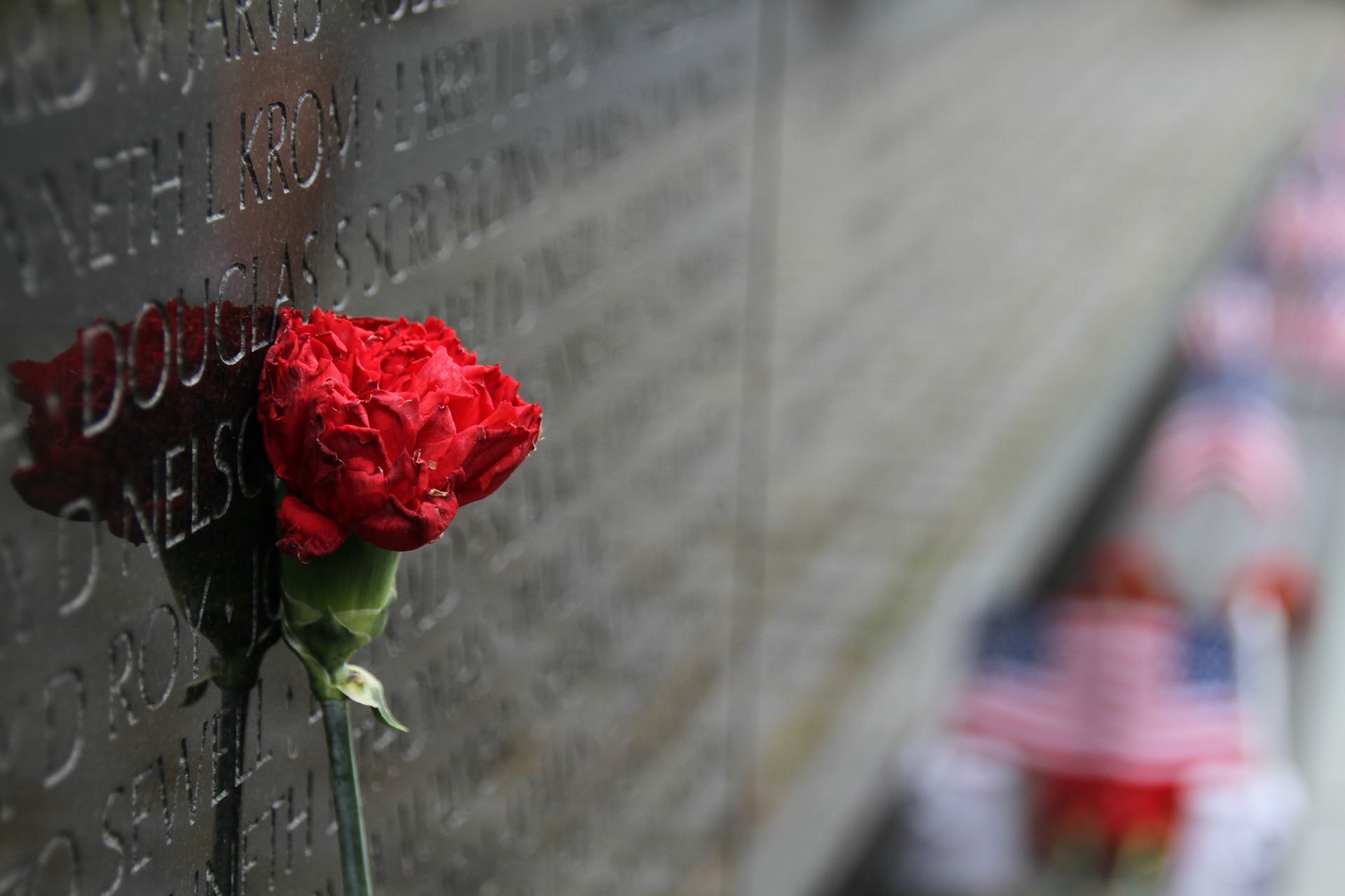 Red carnation next to Vietnam Memorial